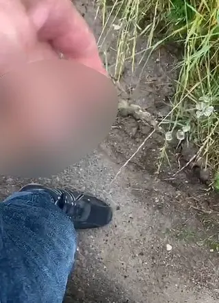 Wenn bei Sunny auf dem Weg zu Ruby der Druck zu groß wird ...