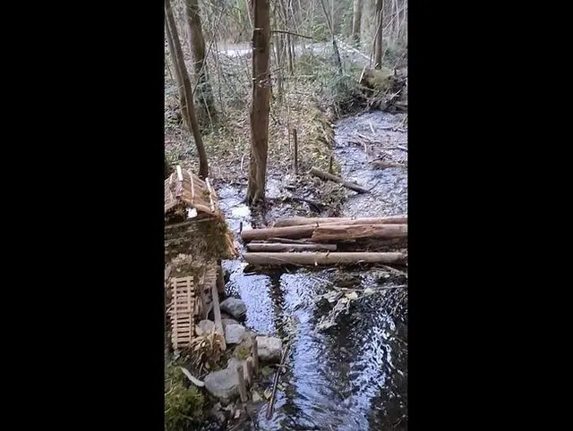 Bei spazieren auf der Brücke mitten am Weg schön gepasst:)