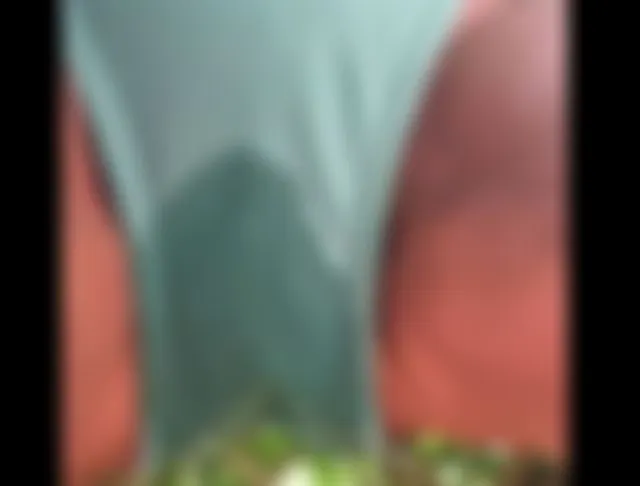 Neuer Bikini & NS
