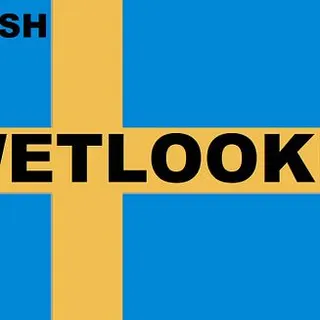 Profilbild von swedishwetlooker