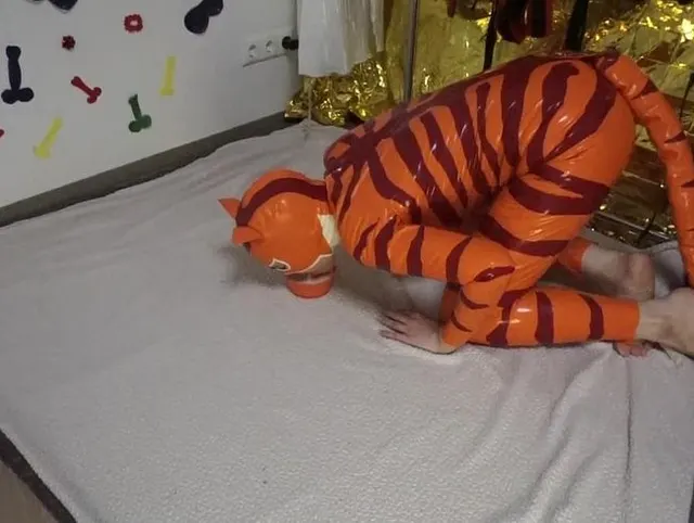 Latexkatze trinkt Milch