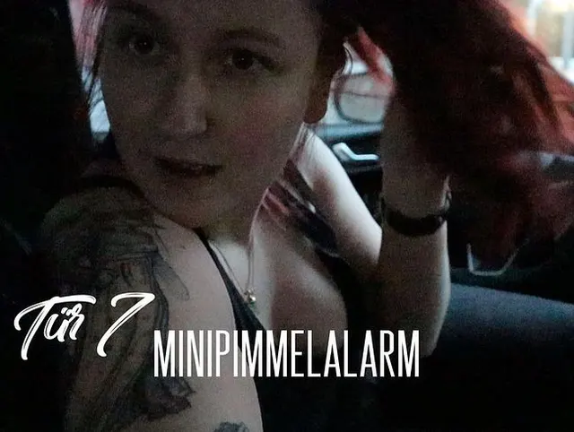 Tür 7: MinipimmelAlarm