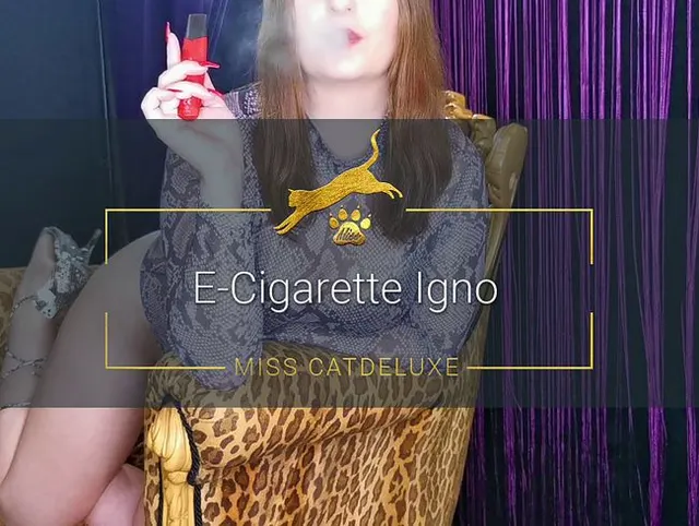 E-Cigarette Igno