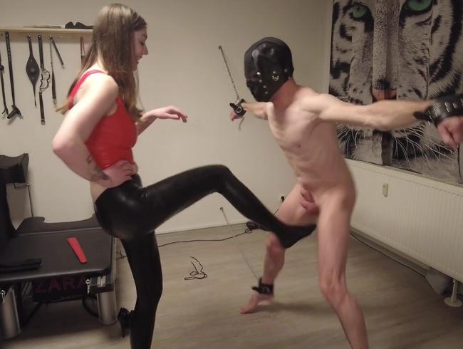 Ballbusting – Extremes CBT für den User Sklaven