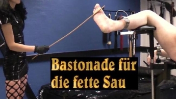 Bastonade für die fette Sau