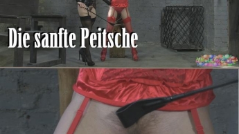 Die sanfte Peitsche