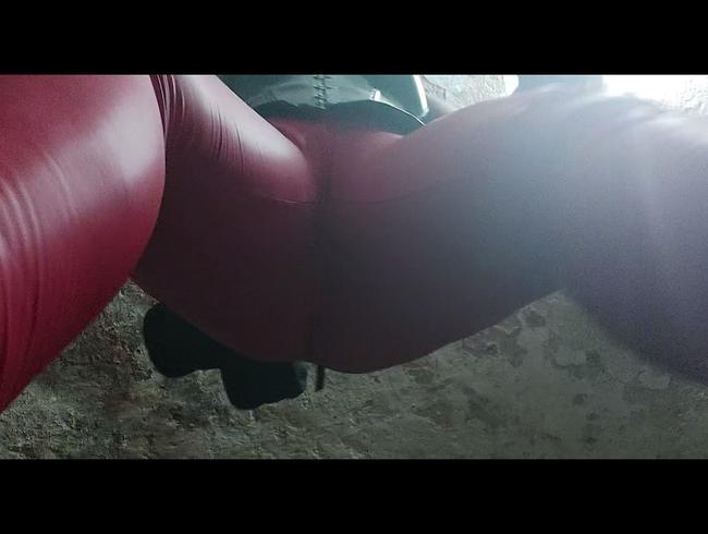 FASESITTING
