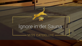 Ignore in der Sauna