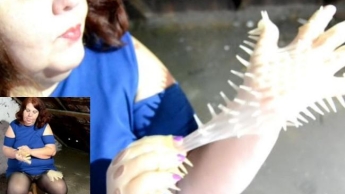 Latex Spike Handschuhe anziehen