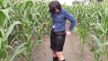 Lost in the cornfield