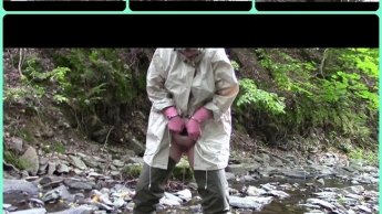 Pissing in Waders