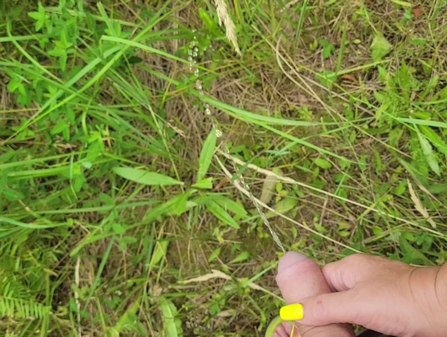 Stiefmutter hält Stiefsohns Schwanz, während er in der Natur pinkelt