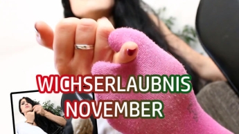 WICHSERLAUBNIS NOVEMBER