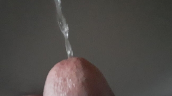 der Natursekt