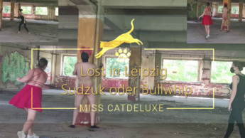Lost in Leipzig – Sudzuk oder Bullwhip