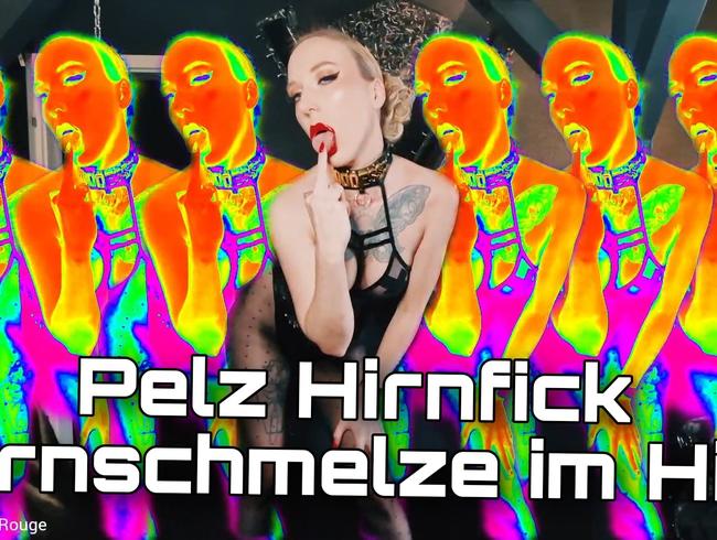 Pelz Hirnfick: Kernschmelze im Hirn