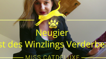 Neugier ist des Winzlings Verderben