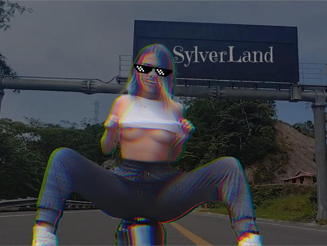 Sylverland **Auf der Autobahn**