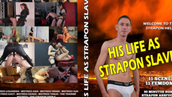 MY LIFE AS STRAPON SLUT * DER FILM