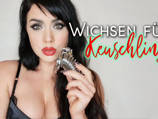 Wichsen für Keuschlinge 04