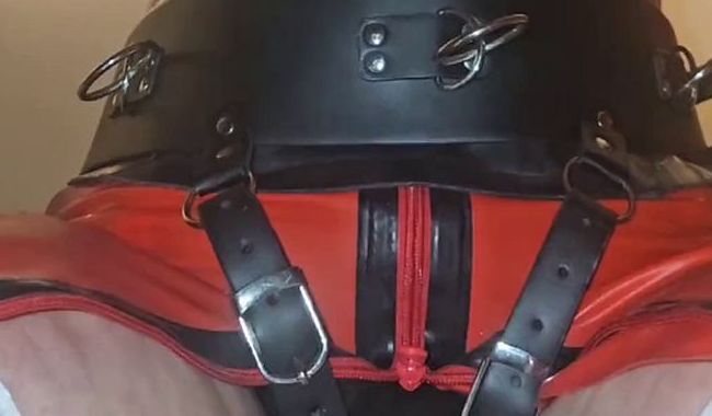Mit Massagestab und Toy angeheizt