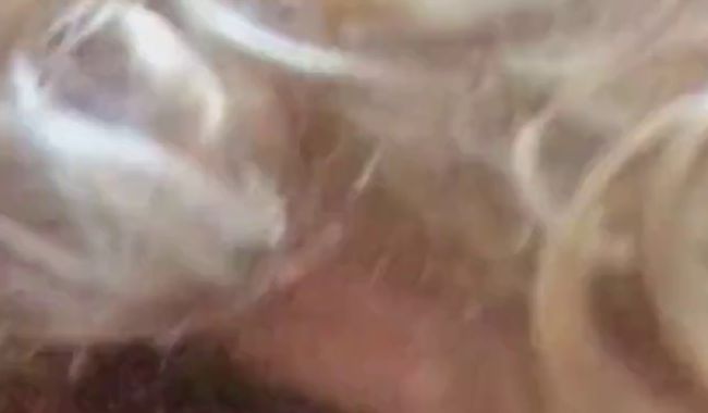 Userwunsch – Paula ist rattig und bietet sich an