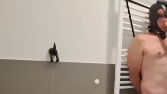 Den Sklaven mit Sperma gefüttert