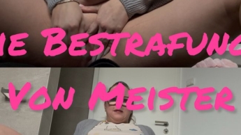 Die Bestrafung des Meisters