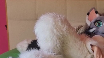 Dildo in fluffy pussy