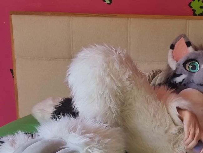 Dildo in fluffy pussy