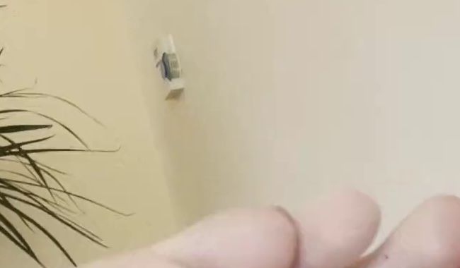 Füße gründlich lecken