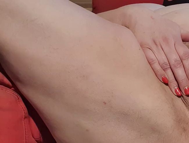 starke Leckerziehung mit Wixanleitung