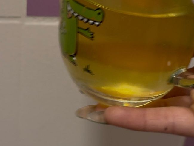 Küchen Session
