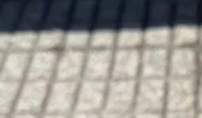 Leck meine wunderbar duftenden Füße und vergiss nicht, unter meinen schmutzigen Sohlen zu lecken