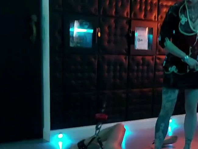 Miss Alessa Milano Hard Whipping after Hanging