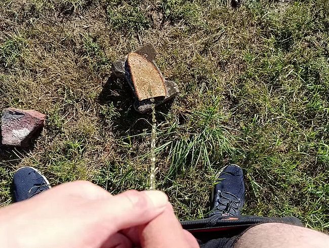 Friss vom Stein, du Pisssklave – ich pisse draußen auf dein Brot!