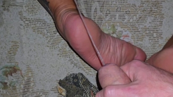Plötzlicher nächtlicher Sex mit einer Stiefmutter