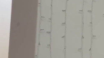 Schüttel meinen Arsch