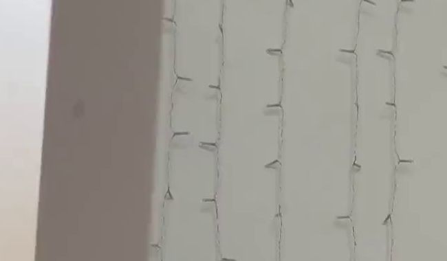 Schüttel meinen Arsch