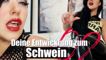 Deine Entwicklung zum Schwein 02