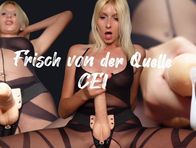 Frisch von der Quelle – CEI