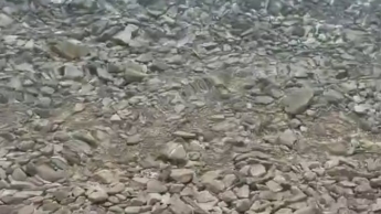 Füße im Meer abkühlen
