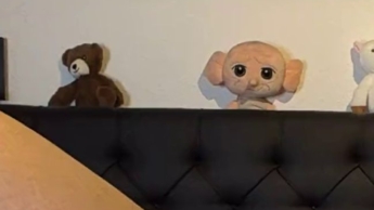 Leicht gepumpte Fotze….