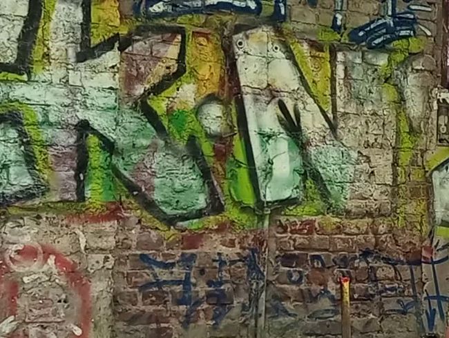 Meine Pisse im Sklavenauge