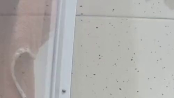 Natursekt und Pussy fingern