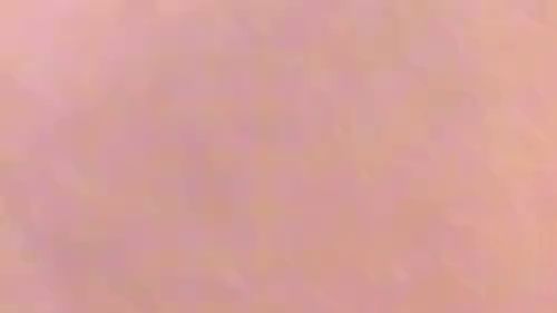 Schnell mal im Hotel auf den Balkon gepisst!