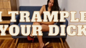 Dein Schwanz zwischen meinem Fuß und meinem Schuh