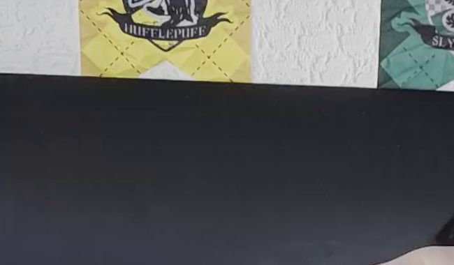 Ellenbogen lange Latexhandschuhe verwöhnen Hintertürchen :P