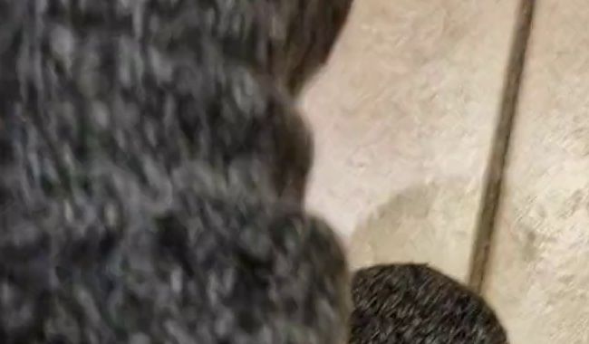 Gestrickte Socken sind die besten