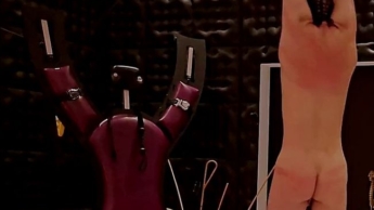 Hard Femdom Mercyless Singletail Whipping Hanging Bondage